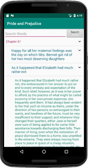 Pride and Prejudice Screenshot 2