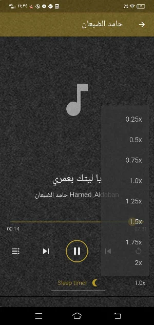 حامد الضبعان شيلات MP3 بدون نت Screenshot 0
