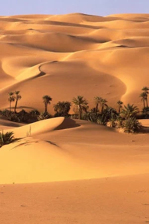 HD Nature Wallpapers Screenshot 1