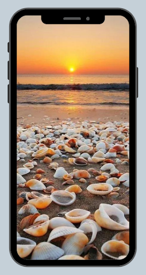 NATURE WALLPAPER Screenshot 3