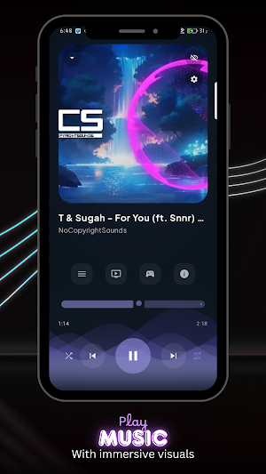 Lyrictica Screenshot 3