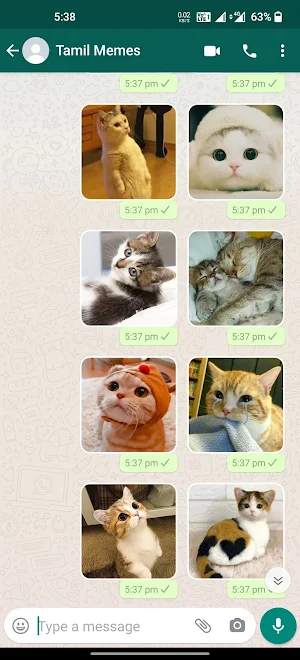Cat Stickers | WAStickerApps Screenshot 1
