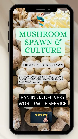 BM MUSHROOM Screenshot 2