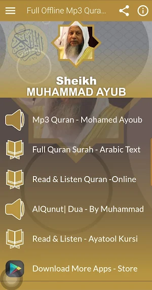 Muhammad Ayoub Quran Offline Screenshot 0