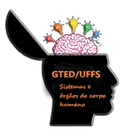 CCH -Ciências e o corpo humano