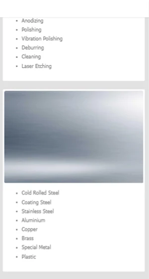 TenraL Website Screenshot 3