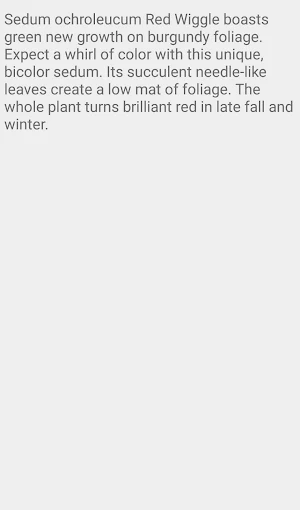 Sedum Red Wiggle Screenshot 2