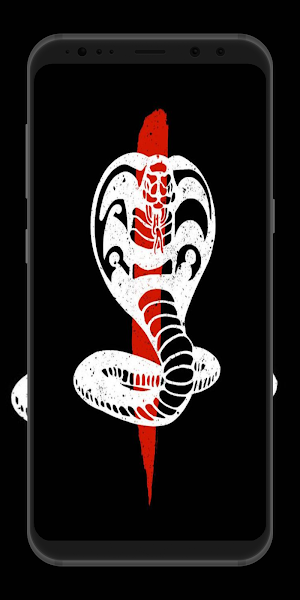 Cobra Kai Wallpaper HD Screenshot 3