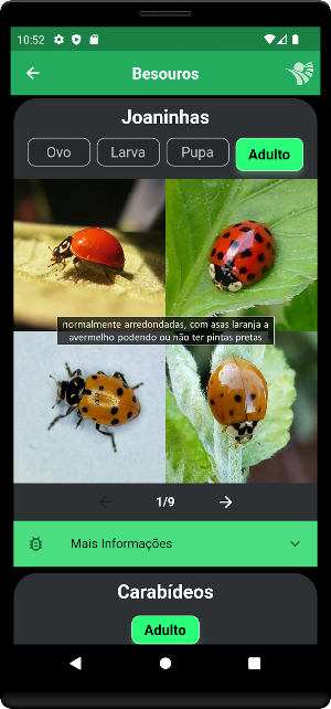 GID Inimigos Naturais Screenshot 2