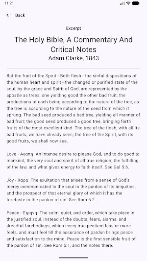 Bible Insight Screenshot 3