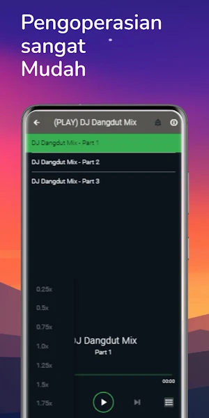 DJ Dangdut Mix Screenshot 3