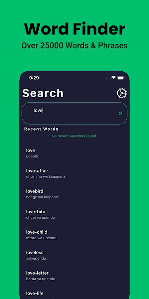 Swahili Dictionary English Screenshot 2