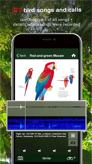All Birds Trinidad & Tobago - Sunbird Field Guide Screenshot 3