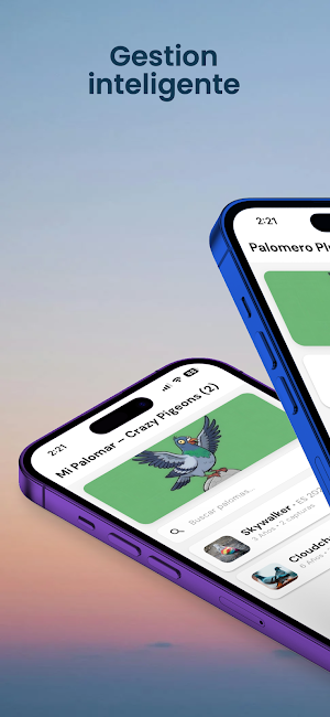 Palomero Plus Screenshot 0