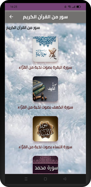سور من القرآن الكريم Screenshot 0