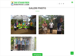 Disketapang Kabupaten Lebak Screenshot 2