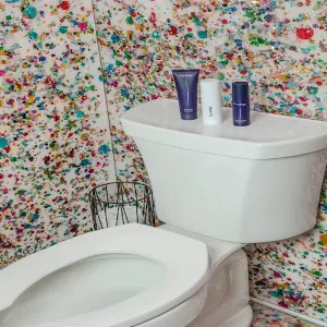 Toilet Flushing Sounds Screenshot 1
