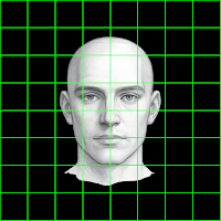 Grid Method for Drawing