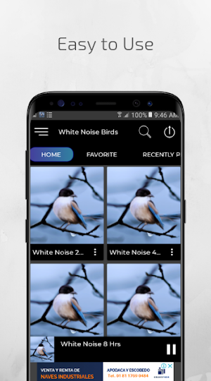 White Noise Birds Noise Screenshot 1