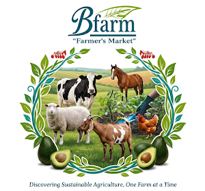 Bfarm Screenshot 3