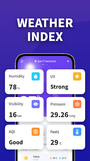 Zebra Weather Screenshot 2