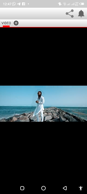 Mr.Flavour songs Screenshot 0