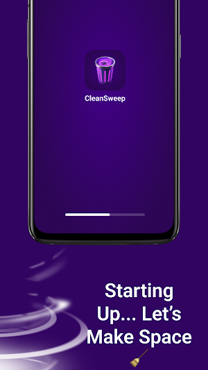 CleanSweep Screenshot 0
