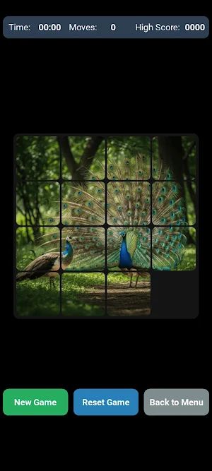 Puzzle Screenshot 2