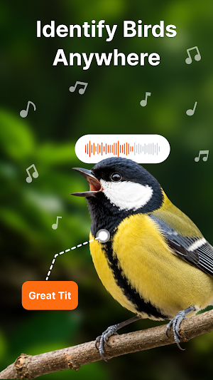 Bird Sound Identifier: Bird ID Screenshot 0