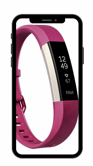 Fitbit Alta HR guide Screenshot 1