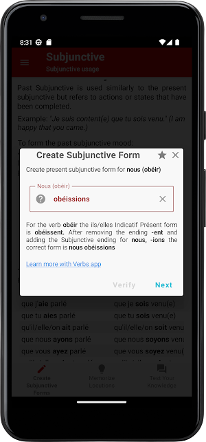 French Subjunctive Screenshot 2