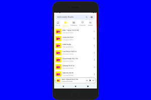 Indonesia FM Radio Online Screenshot 0