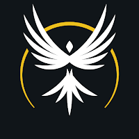 Fitness team libero