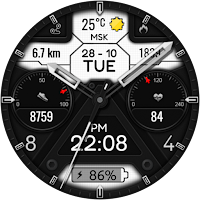 Echo Hybrid Watch Face