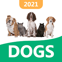 Dog Stickers for chatting - WA
