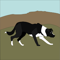 SheepDog