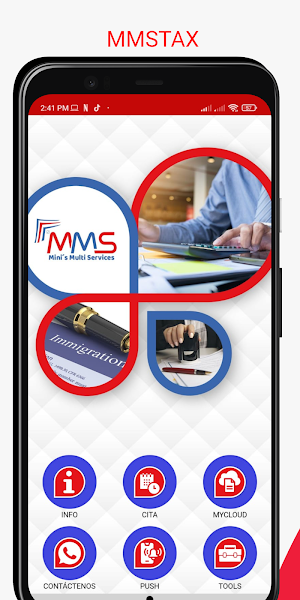 MMSTAX Screenshot 0