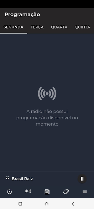 Rádio Brasil Raiz Screenshot 2