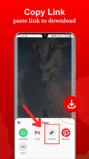 Video Downloader for Pinterest Screenshot 0