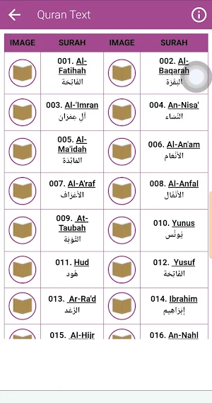 Yasser Al Dosari Quran Offline Screenshot 3