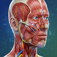 Human Anatomy Learning 3D