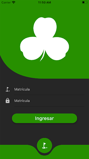 San Patricio Golf Screenshot 0