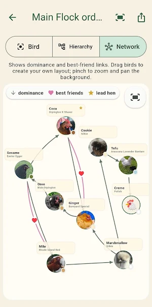 Pecking Order Screenshot 1