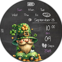 BFF50 - St. Patrick day Gnomes