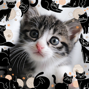 Lovely Cat Photo Frames Screenshot 3