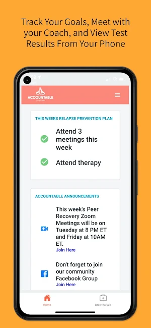 You Are Accountable Screenshot 2