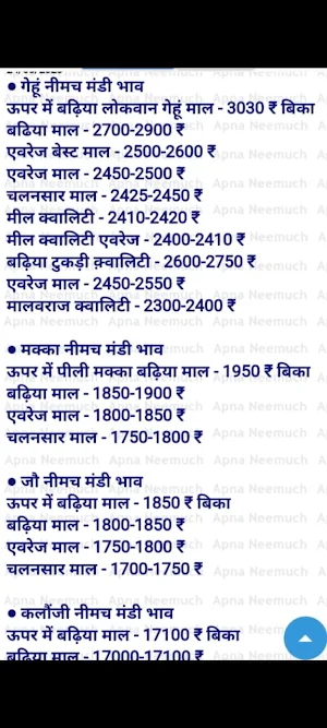 Neemuch Mandibhav Screenshot 3