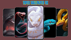 Viper Snakes Wallpaper 4K Screenshot 0
