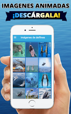 Fondos de pantalla de delfines Screenshot 0