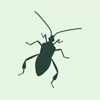 Forest pests